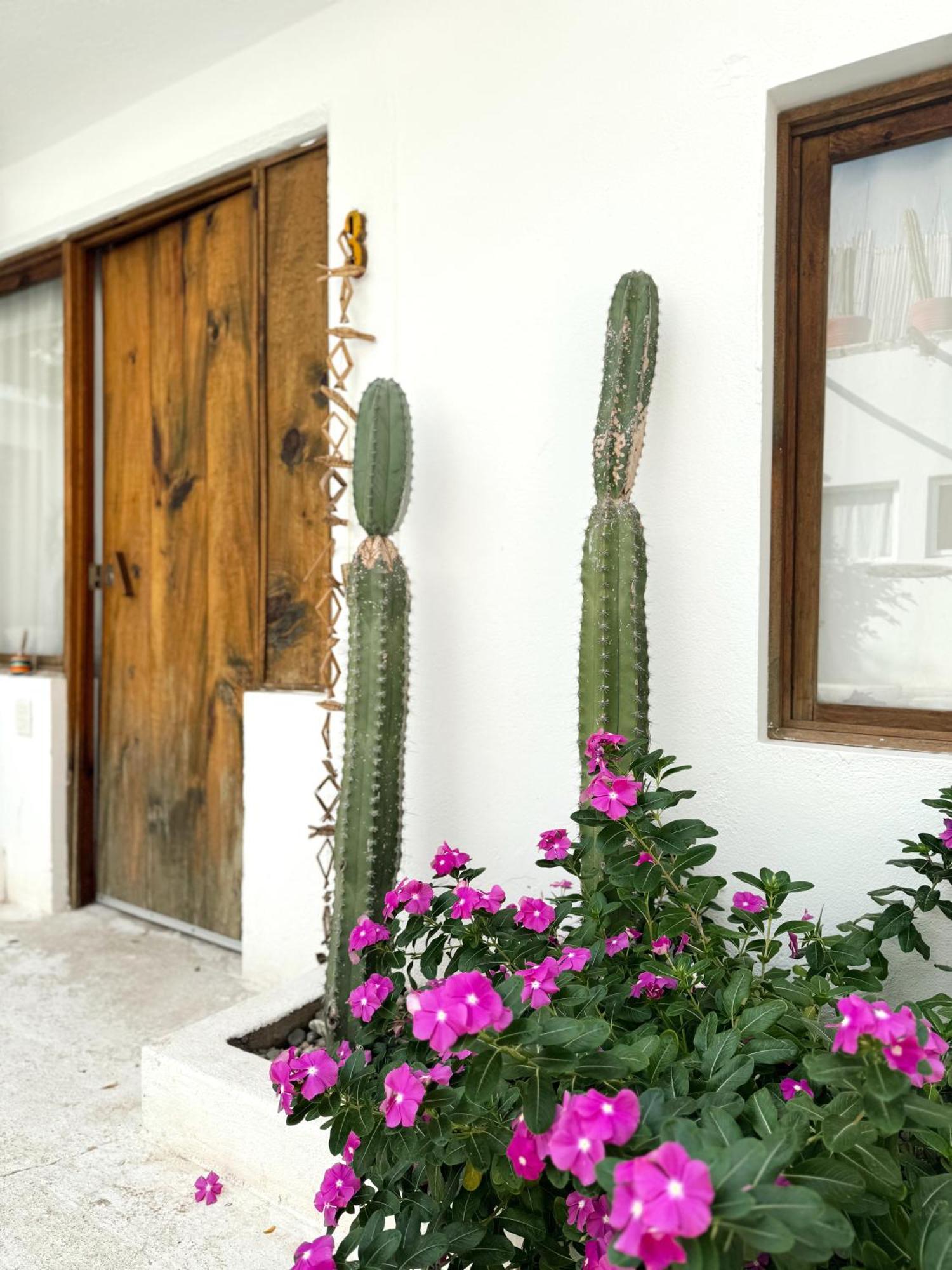Casa Leone La Punta Hotel Brisas de Zicatela Екстериор снимка