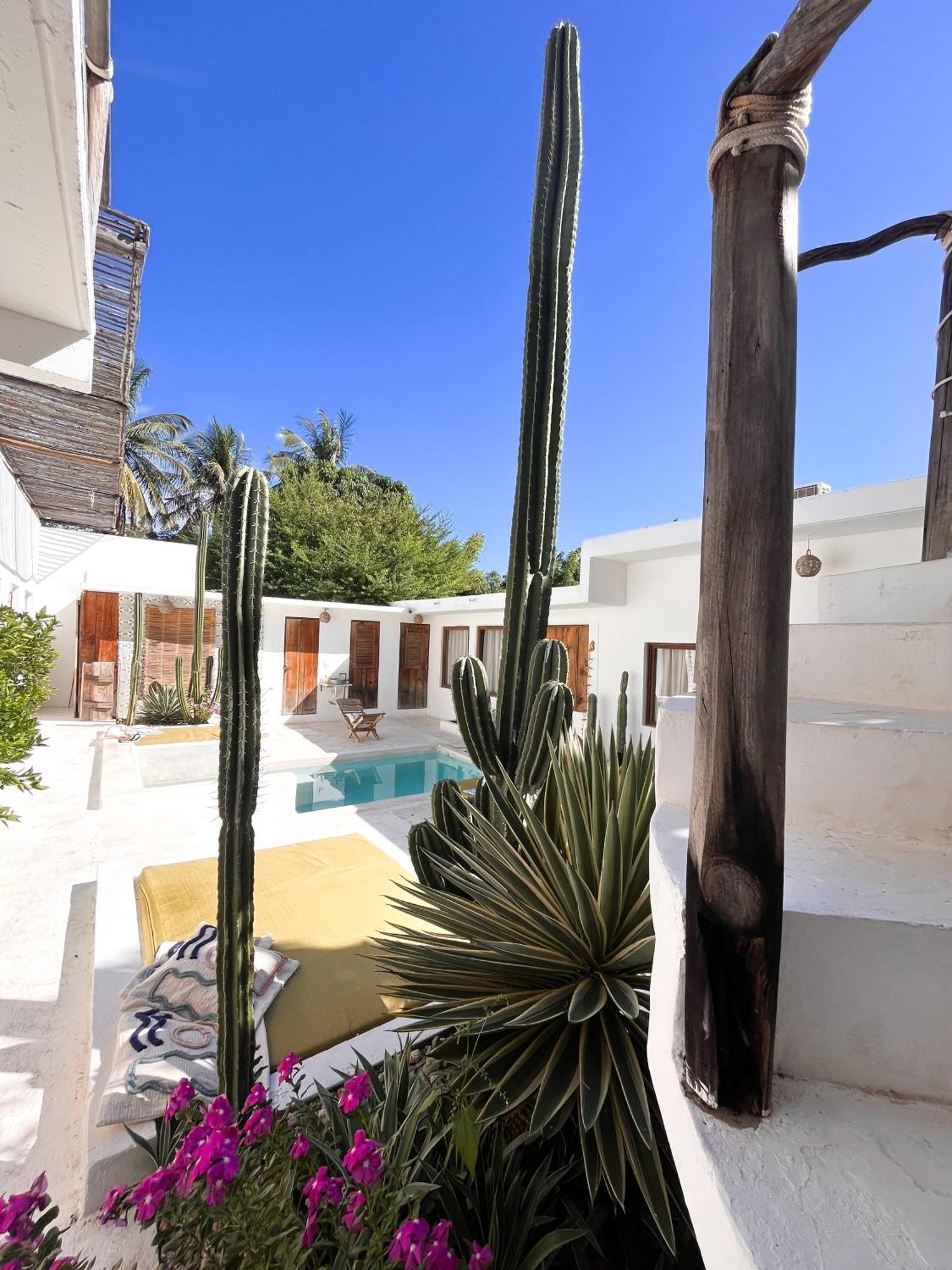 Casa Leone La Punta Hotel Brisas de Zicatela Екстериор снимка